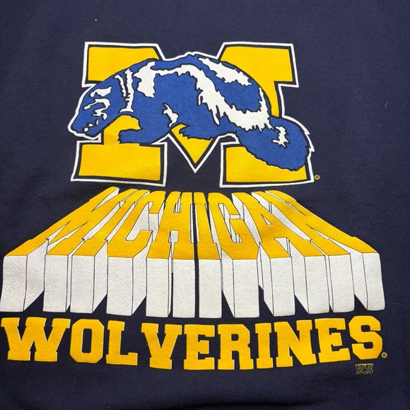 Vintage HVYWT Michigan Wolverines Sweatshirt Size M Made In USA Crew Neck Mascot - Picture 2 of 6